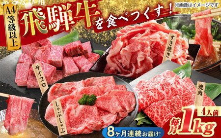 【8回定期便】 飛騨牛を食べつくす！ 飛騨牛 プレミアム 定期便 4人前 ( しゃぶしゃぶ × すき焼き × サイコロステーキ × 焼肉 ) 各1kg A4等級以上  多治見市 / 渡辺精肉店 和牛 ブランド牛 牛肉[TAZ049]