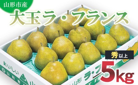 山形市産 大玉ラ・フランス 秀 以上 5kg (12・14・16玉) FZ20-501
