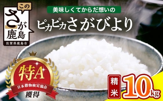 令和7年産 佐賀県産 さがびより 10kg 白米《からだ想いのピカピカさがびより》ふるさと納税 白米10kg 米 お米 新米 精米 国産 こめ コメ 佐賀県 鹿島市 ふるさと 人気 送料無料 D-284