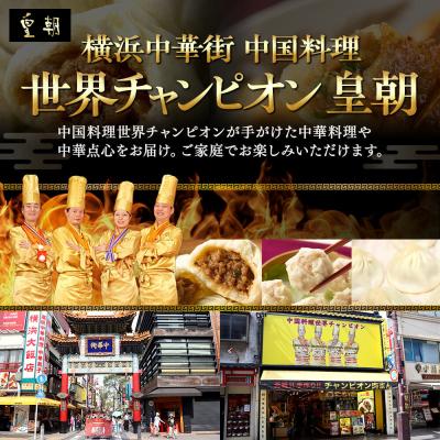 ふるさと納税 横浜市 中華点心詰合せH(15種 計112個)＜横浜中華街 皇朝＞ |  | 02