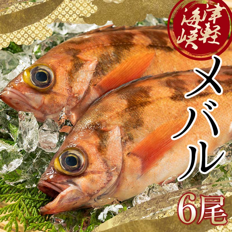 【ふるさと納税】小泊港水揚げ 津軽海峡メバル 姿6尾 ※下処理済み 【卓立水産】魚 海鮮 ウスメバル メバル めばる 津軽海峡 1尾 丸ごと 津軽海峡 高級 海産物 刺身 煮付け 中泊町 青森 F6N-027