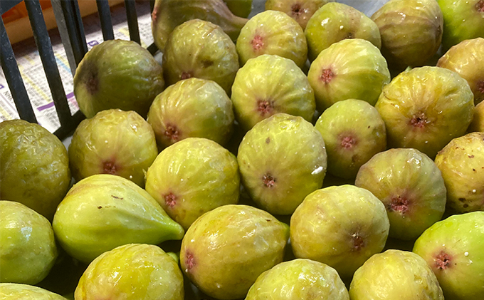 自家栽培いちじくのドライフルーツ～白いちじくバナーネ～