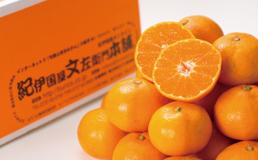 ブランド有田みかん【Ｌ】秀品10kg ／産地直送／薄皮で甘い美味しい和歌山県産／紀伊国屋文左衛門本舗　※2026年11月上旬～2027年1月中旬頃に順次発送予定（お届け日指定不可）【kstb141C】