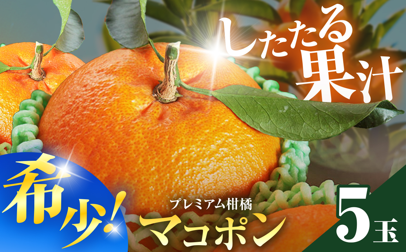【JALふるさと納税限定価格】紅モンスター マコポン5玉 | フルーツ 果物 くだもの 果実 柑橘 柑橘類 まこぽん マコポン オレンジ ゼリーオレンジ 不知火 国産 中津市産 産地直送 大分県 中津市