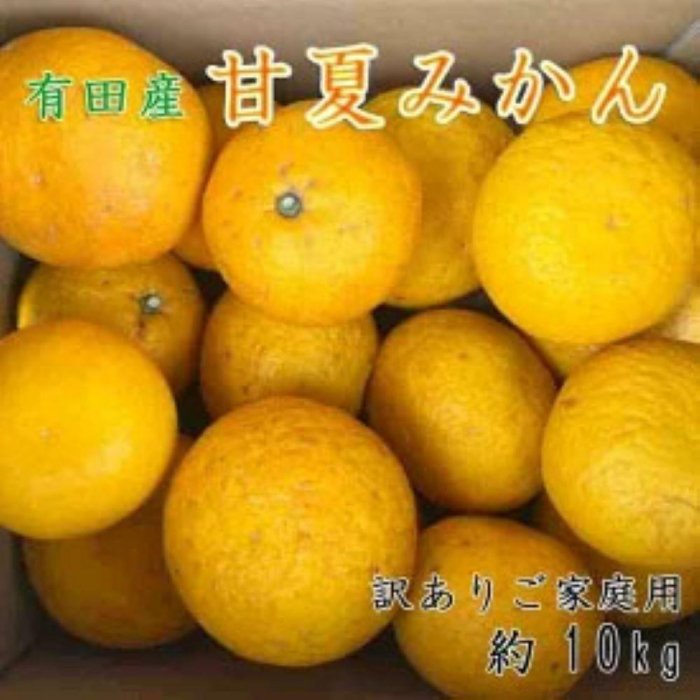 【ふるさと納税】有田産訳ありご家庭用甘夏みかん約10kg（サイズ混合）★2026年4月中旬頃より順次発送予定 | みかん 甘夏 柑橘 和歌山 訳あり 10kg 家庭用 フルーツ 旬 期間限定 先行予約 柑橘類 果物 ふるさと納税 返礼品 故郷納税