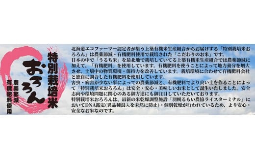 【2025年産】 北海道羽幌産 特別栽培米 ななつぼし10kg （5kg×2セット）