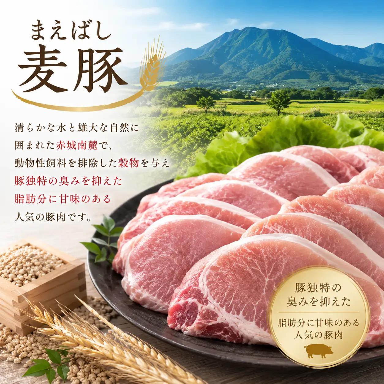 豚肉 まえばし麦豚肉 食べ比べ 2.4kg