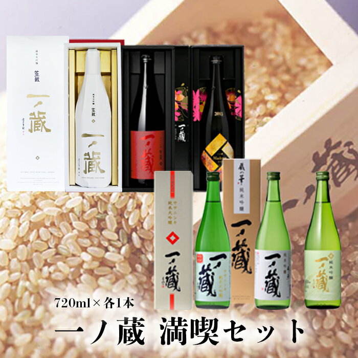 【ふるさと納税】一ノ蔵満喫セット