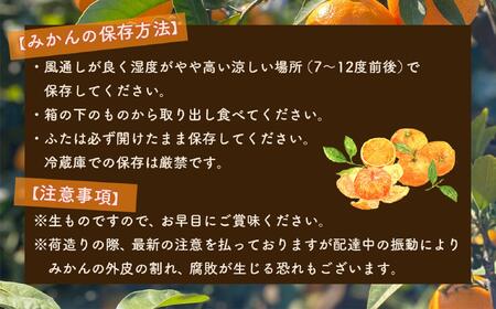 和歌山県産 有田みかん 大粒サイズ 2.5kg 【先行予約】