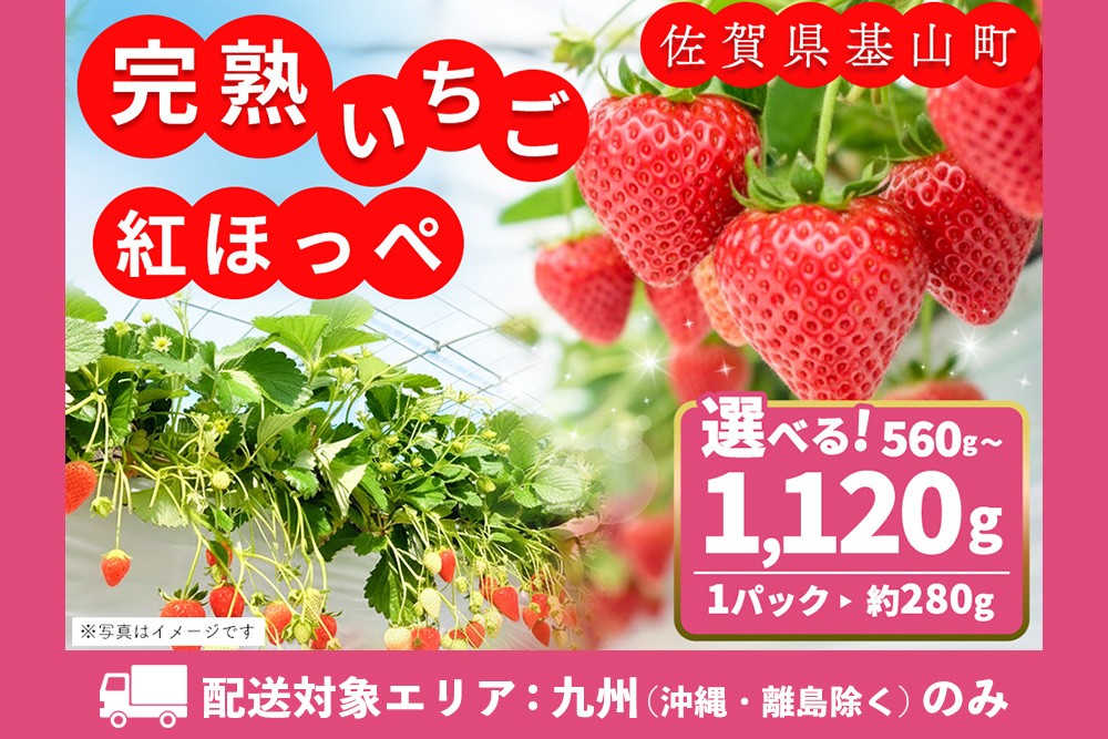 
                  【九州内配送】【農場直送いちご】内容量が選べる 紅ほっぺ【約280g 2パック or 4パック ふるさと納税 基山町産 イチゴ 朝採れ 完熟果 KBCテレビ「ふるさとwish」で紹介されました】K100P013
                