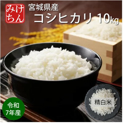 【ふるさと納税】令和7年産　宮城県産コシヒカリ 精米10kg【1726800】