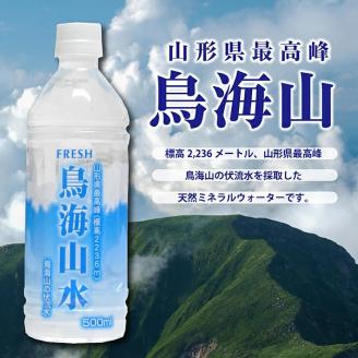 SA0065　鳥海山水　500ml×24本