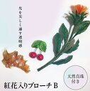 【ふるさと納税】パンの花 紅花入りブローチ(天然真珠付き)2