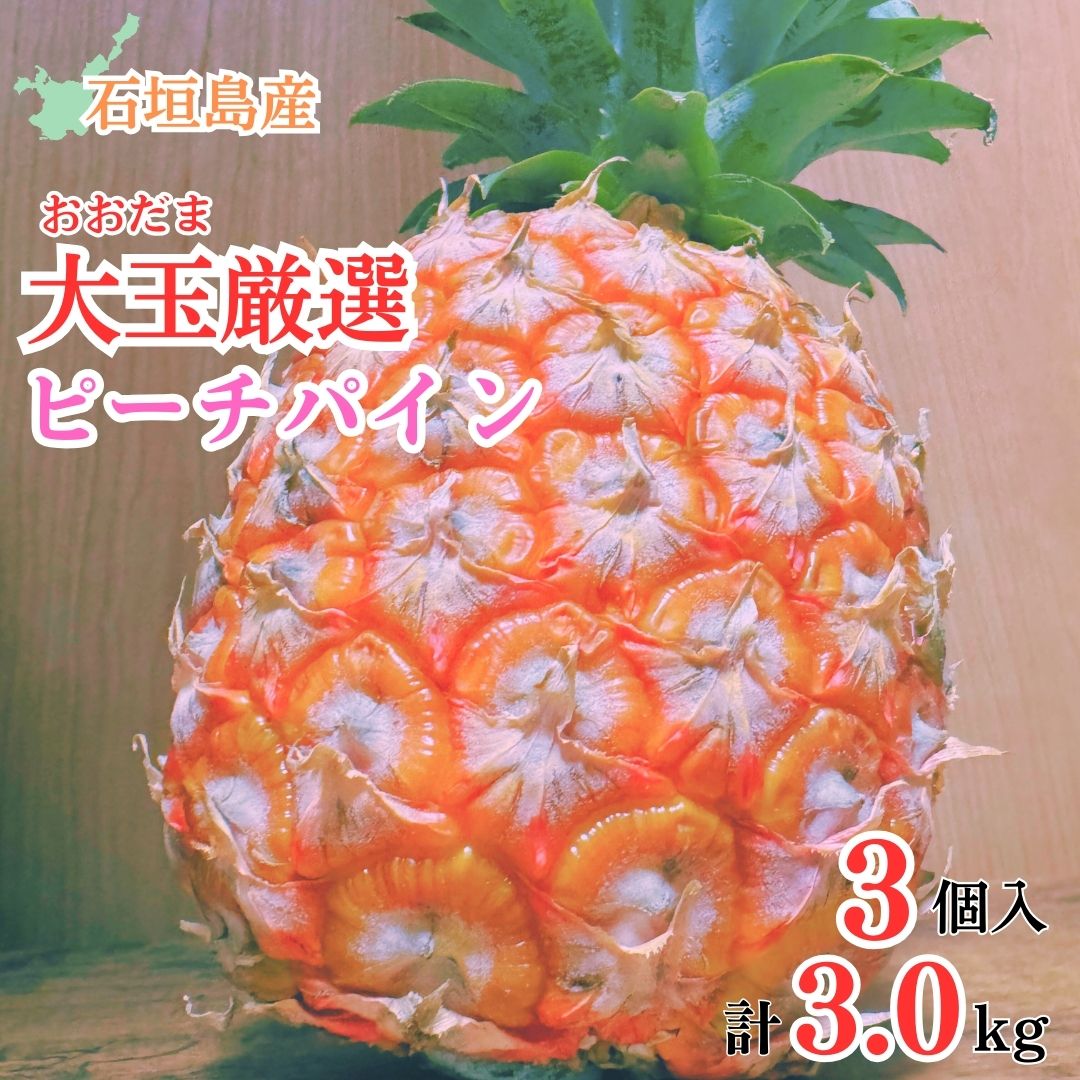 【先行予約】《2025年夏季 順次発送》石垣島産・大玉ピーチパイン ３玉 約3.0kg【 沖縄県石垣市 石垣島 フルーツ 果物 パイン 産地直送 】SI-37