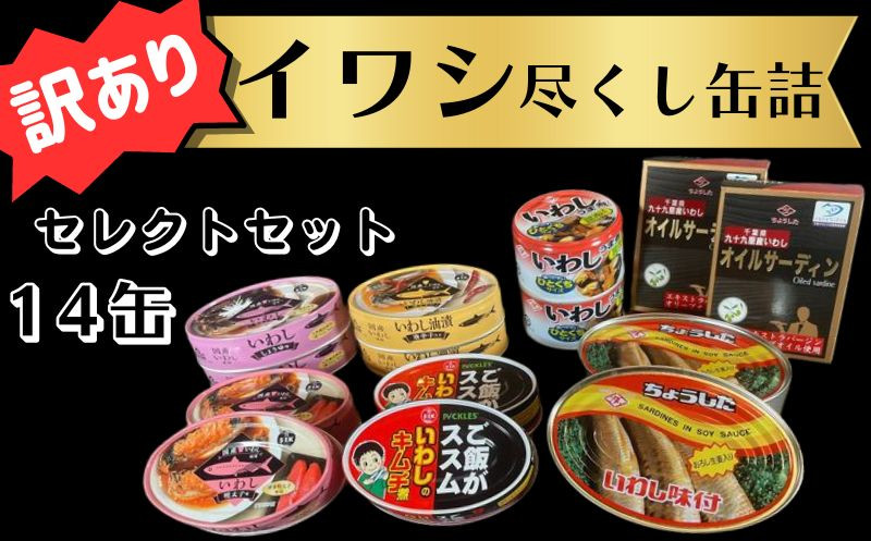 
訳あり 缶詰 7種 イワシ尽くし セレクトセット(14缶） 缶詰 いわし 詰め合わせ おすすめ セレクト 人気 栄養 炊き込みご飯 パスタ おつまみ 美味しい 国産 国内産 醤油 明太子 キムチ オイルサーディン キムチ煮 油漬 しょうゆ 醤油 アレンジ 非常食 保存食 常備 災害 備蓄品 和風 洋風 健康 ご飯がススム 千葉県 銚子市 銚子市観光協会
