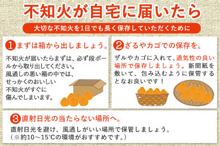 先行予約 不知火 約5kg 期間限定 《4月上旬-5月末頃出荷》熊本県 葦北郡 津奈木町 つなぎ百貨堂 フルーツ 柑橘