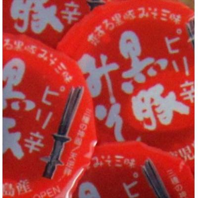 ふるさと納税 霧島市 霧島神話豚の豚みそ!(ピリ辛味30個)【富士食品】　Z6-012-P