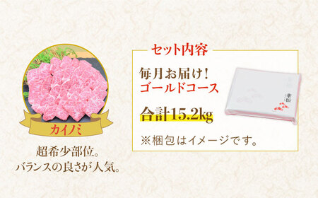 佐賀牛豪華12回定期便＜総量15.2kg！＞合計15,200g ゴールドコース 吉野ヶ里町/ミートフーズ華松 黒毛和牛 牛肉 ブランド牛 A4 A5 ヒレ フィレ サーロイン 肩ロース ランプ リブロ