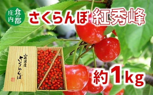 
                  【令和8年産】食の都庄内 さくらんぼ紅秀峰 約1kg※2026年7月上旬頃より発送開始予定
                