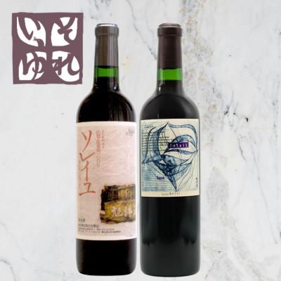 ふるさと納税 山梨市 旭洋酒　ソレイユ・クラシック　赤/それいゆシラー　720ml×2本セット