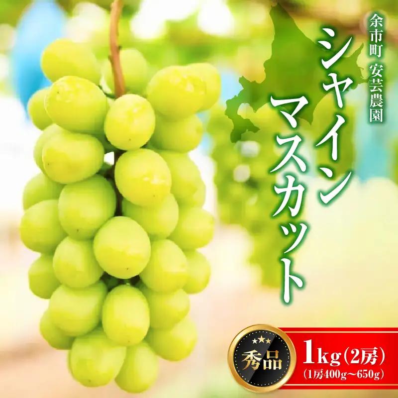 【先行予約：2026年9月上旬以降発送】北海道産シャインマスカット 1kg【秀品２房】_Y164-0002