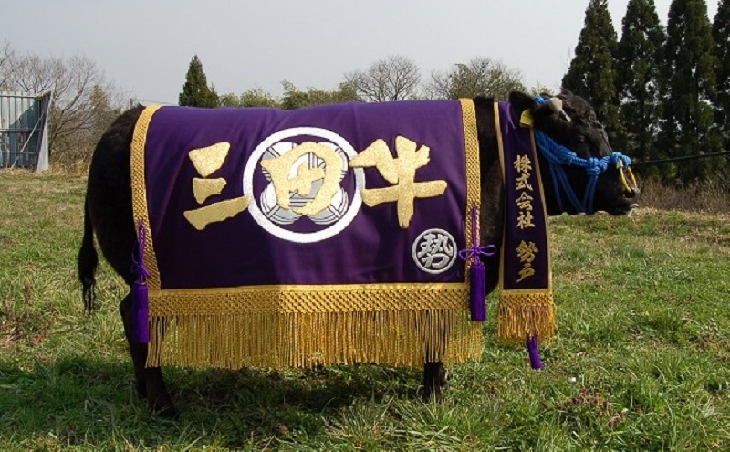 三田牛　厚切りロースステーキ約270ｇ×３枚 & すき焼550ｇ