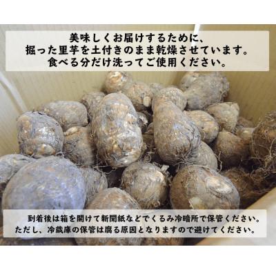 ふるさと納税 勝山市 かつやま里芋 5kg |  | 01
