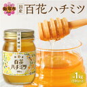 【ふるさと納税】百花ハチミツ 500g×2【B6-020】