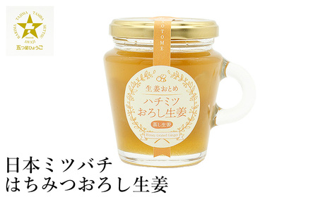 貴重！豊岡市産、日本ミツバチのはちみつで作った はちみつ生姜 150ml / はちみつ 国産 蜂蜜 ハチミツ 兵庫県産 こうのとり生姜 日本ミツバチ ショウガオール お湯割り 炭酸割り はちみつジンジャースカッシュ 温活 しょうが ショウガ 生姜 ジンジャー