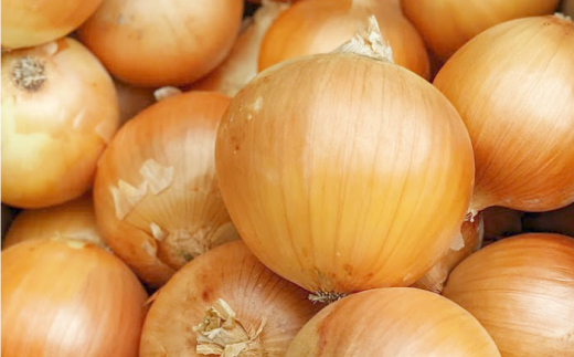 【先行予約】【口の中でとろける！】/玉ねぎたっぷりカレーセット（5袋分）【玉葱農家 陣内ちひろ】/玉ねぎ たまねぎ 玉ネギ タマネギ オニオン オニオンカレー カレー [IAO007]