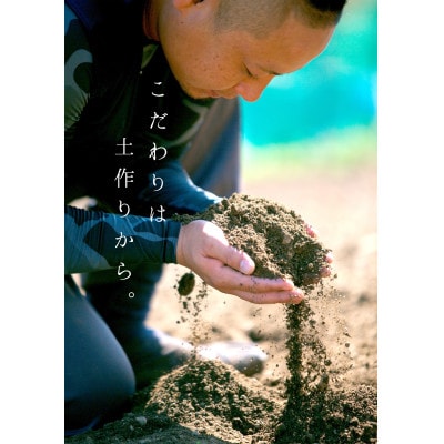 【発送月固定定期便】コウ果樹園の旬の柑橘定期便(11月−10月)【H33−41】全12回【4052190】