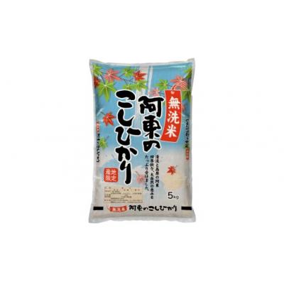 ふるさと納税 山口市 無洗米阿東のコシヒカリ5kg×2袋(白米) C119