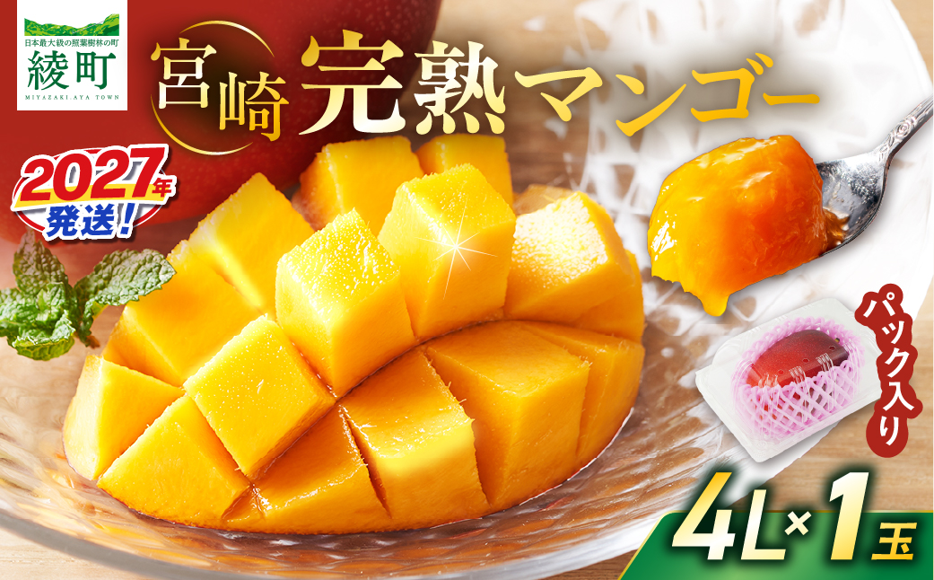 先行予約 数量限定 完熟マンゴー 4L×1玉（パック）マンゴー 宮崎 果物 フルーツ くだもの 2027年 国産 高級 マンゴージュース 南国フルーツ おすすめ デザート ギフト 贈り物 プレゼント 贈答 冷蔵 綾町 送料無料 【JA綾町】_A0114-265