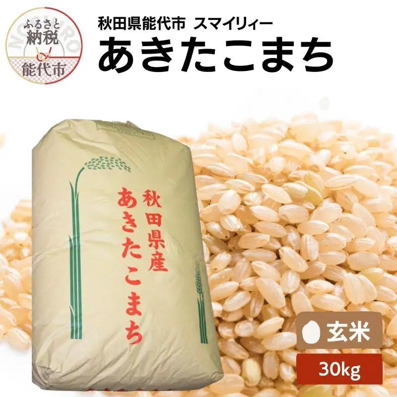 令和7年産 玄米 単一原料米 秋田県産 あきたこまち 玄米【30kg】