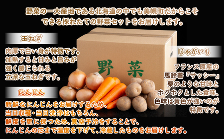 カレーの定番!じゃがいも・玉ねぎ・にんじんの詰め合わせ8kgセット【配送不可地域：離島】 野菜 じゃがいも いも にんじん 人参 玉ねぎ たまねぎ カレーセット 北海道 美幌町 送料無料 BHRG03
