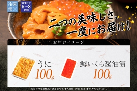 1958. うに チリ産 冷凍 100g 鱒いくら醤油漬け 100g セット ウニ 雲丹 チリ産 ますいくら 鱒 マス イクラ いくら いくら醤油漬け 海鮮 海鮮丼 送料無料 北海道 弟子屈町