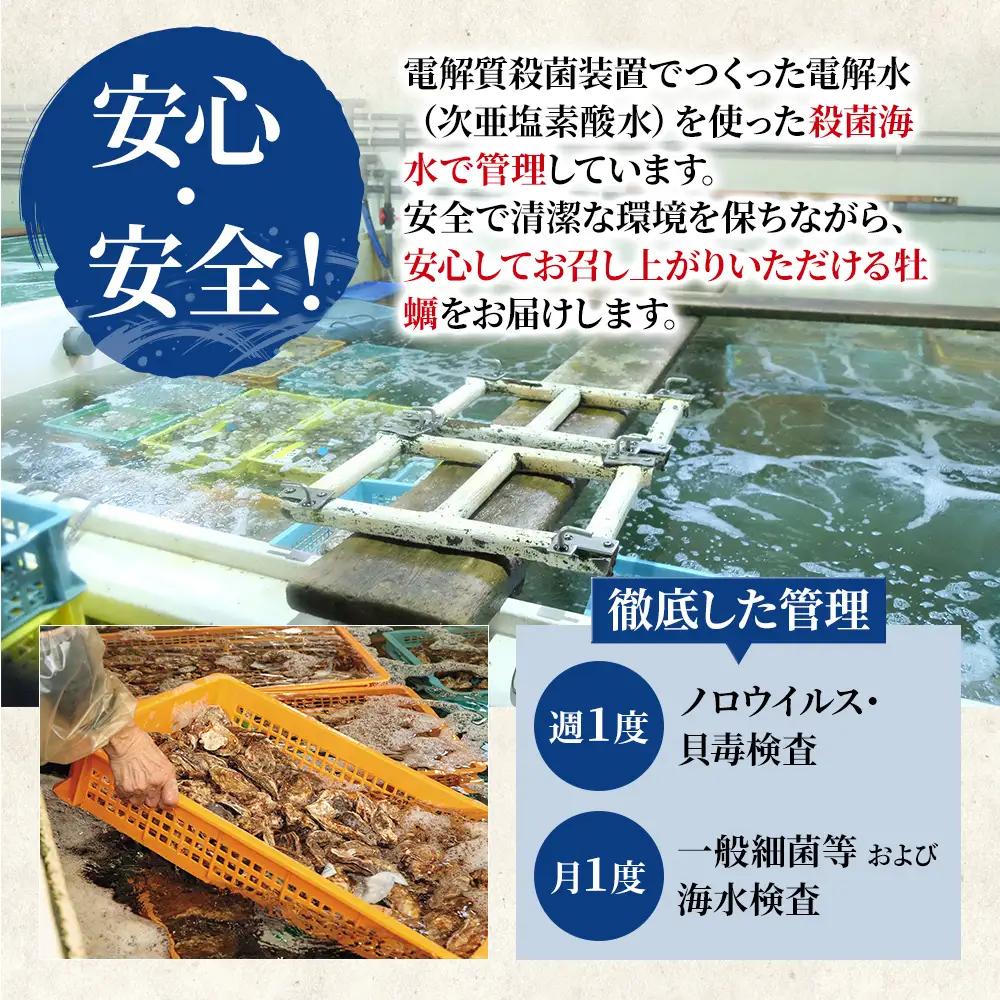 生食用 殻付カキ LLサイズ 10個 マルえもん 生牡蠣 北海道 厚岸産 牡蠣