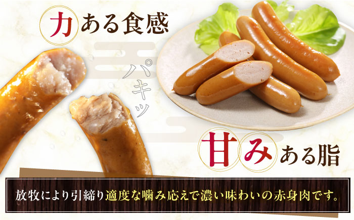 【全2回定期便】【結着剤・発色剤・保存料不使用】 放牧豚 ポークウィンナー・粗挽きウィンナー 計1kg（500g×各1パック）《厚真町》【ファーマーズファクトリー株式会社】 ソーセージ ウインナー チ