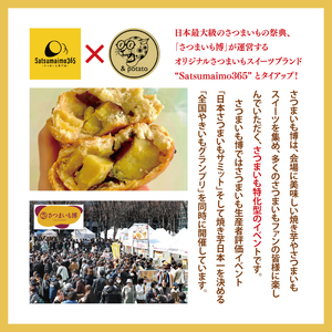 【Satsumaimo365】【さつまいも博】限界まで蜜芋入れたスコーン 4個入（YB-3）