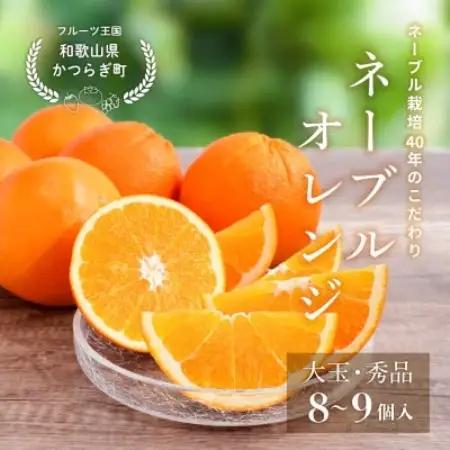先行予約! 和歌山県産ネーブル 約4kg　大玉!(8個～9個)秀品 こだわり農家厳選!【1720259】