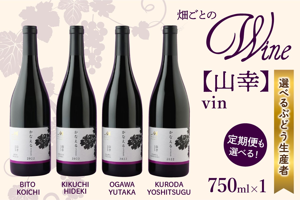 
            【選べる単品/定期便】北海道十勝芽室町 山幸　vin　me032-061c-o
          