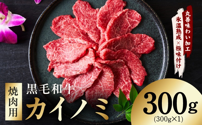 mrz0444 【氷温熟成×極味付け】黒毛和牛 カイノミ 焼肉用 300g【小分け 300g×1P 牛肉 かいのみ 赤身 希少部位】
