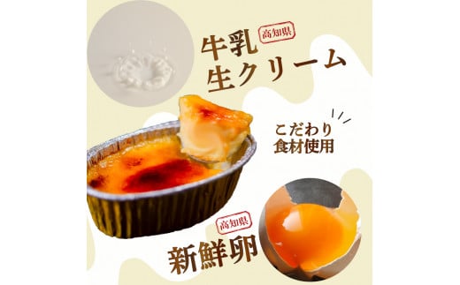 濃厚焦がしクリームブリュレ 9個 冷凍 アイス プリン カタラーナ スイーツ デザート 卵 お菓子 洋菓子  焼き菓子 氷菓子 ギフト おやつ キャラメル ミルク個 牛乳 生クリーム 包装 贈答 飯テ