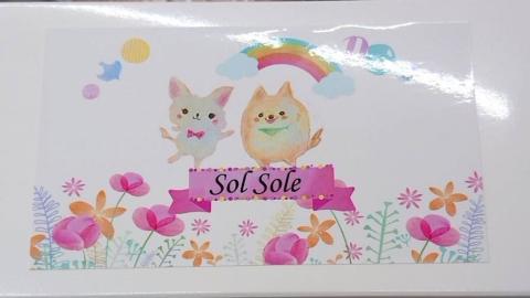 KBM-4　Sol soleのチーズケーキ2種セット　無添加　 スイーツ デザート 鹿嶋市　チーズケーキ 送料無料