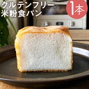 【ふるさと納税】グルテンフリー 米粉食パン 1本 約520g 米粉 食パン 低糖質 健康 パン 朝食 冷凍 送料無料