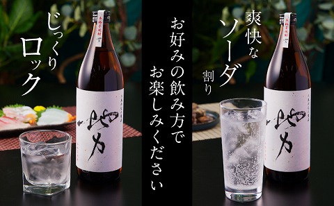 地力（じりき）