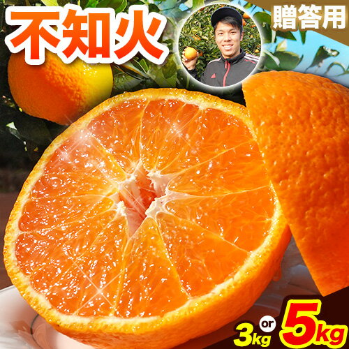 【ふるさと納税】先行予約 不知火 熊本のブランド果実 選べる 不知火 贈答用 約 3kg (10玉) または 約 5kg (16玉) 未来来農園 選べる内容量 《2026年4月上旬-4月下旬頃出荷》熊本県 葦北郡 津奈木町 みかん デコポン でこぽん フルーツ 柑橘 しらぬい