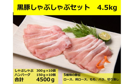 北海道 黒豚しゃぶしゃぶBセット3kg・ハンバーグ10個×150g 合計4.5kg 冷凍 小分け 大容量 豚肉 豚