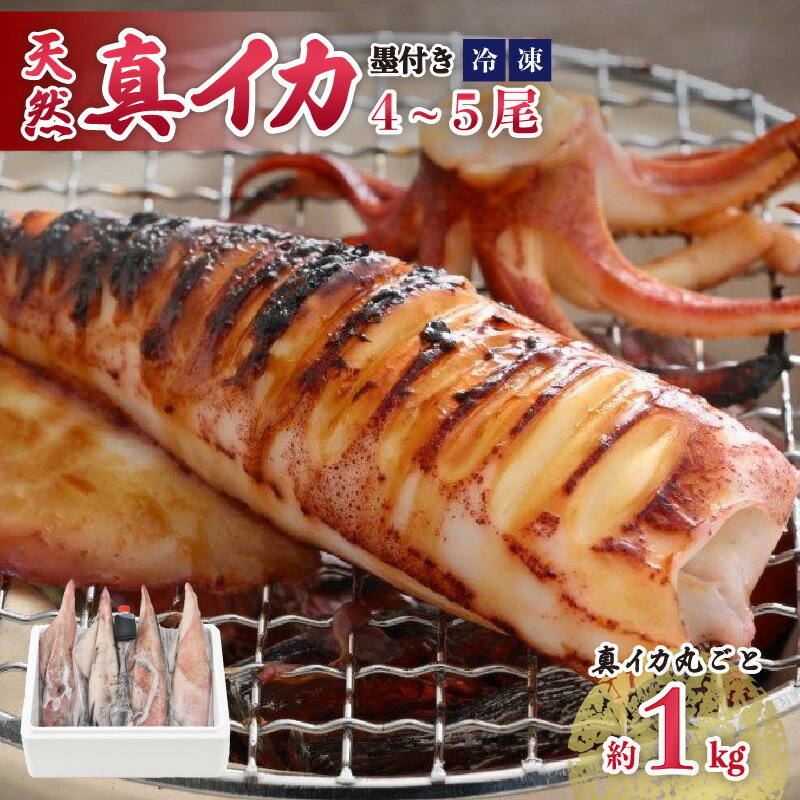 【ふるさと納税】【先行予約】【期間限定】新鮮 朝獲れ 真イカ (剣先イカ）約1kg 【2026年6月下旬以降順次発送予定】たまり醤油と調理方法付 丸ごと【いか イカ 剣先いか するめいか ゲソ 刺身 海鮮 魚介 魚介類 海の幸 バーベキュー BBQ 】お買い物マラソン スーパーセール