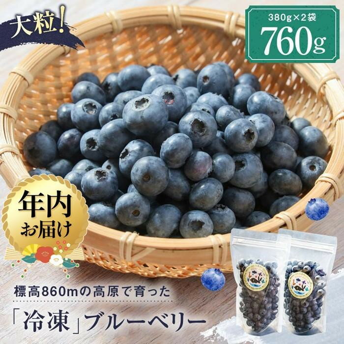 【ふるさと納税】【年内配送が選べる】治助ファームの北部ハイブッシュブルーベリー「冷凍果実」380g×2袋 | 発送時期が選べる 年内発送 国産 フルーツ ブルーベリー おやつ 製菓 冷凍 果物 冷凍フルーツ 飛騨高山 治助ファーム LJ004VP